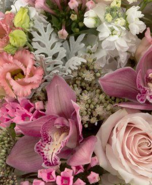 Imaginea produsului Avalanșă Roz