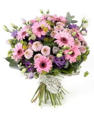 Imaginea produsului Nuanțe Suave Imaginea produsului Nuanțe Suave