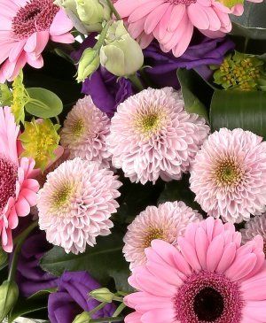 Imaginea produsului Nuanțe Suave