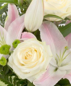 Imaginea produsului Picături De Rouă