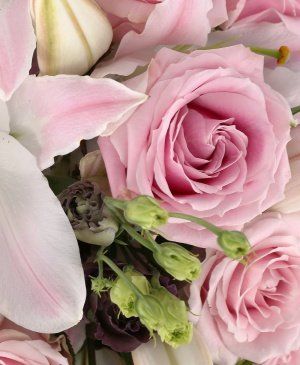 Imaginea produsului Glasul Fericirii