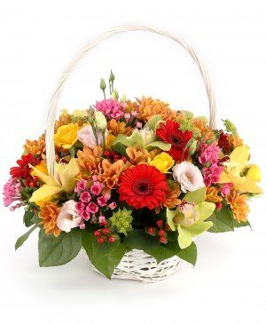 Imaginea produsului Flori De Poveste Imaginea produsului Flori De Poveste