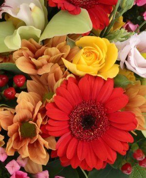 Imaginea produsului Flori De Poveste