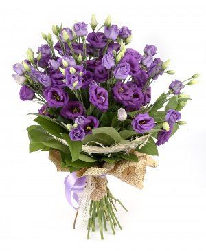 Imaginea produsului Picături De Iubire Mov Imaginea produsului Picături De Iubire Mov