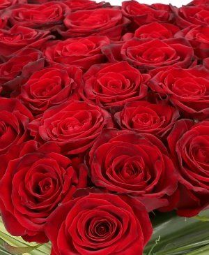 Imaginea produsului Iubire Absolută