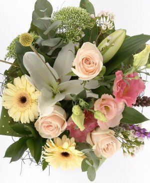 Imaginea produsului Armonie în Culori