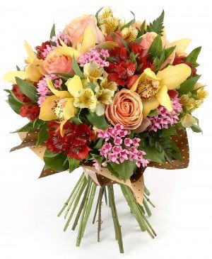 Imaginea produsului Zâmbete Infinite Imaginea produsului Zâmbete Infinite