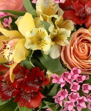 Imaginea produsului Zâmbete Infinite