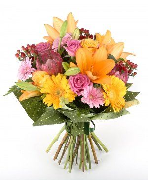 Imaginea produsului Gest Admirabil Imaginea produsului Gest Admirabil