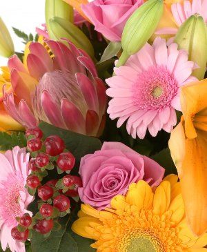 Imaginea produsului Gest Admirabil