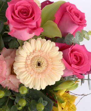 Imaginea produsului Optimism Pur