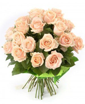 Imaginea produsului 29 Trandafiri Ivoir