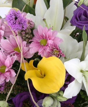 Imaginea produsului Inimi Cucerite