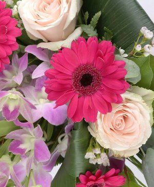 Imaginea produsului Graţia Florilor