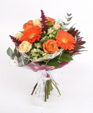 Imaginea produsului Pasiuni în Culori Imaginea produsului Pasiuni în Culori