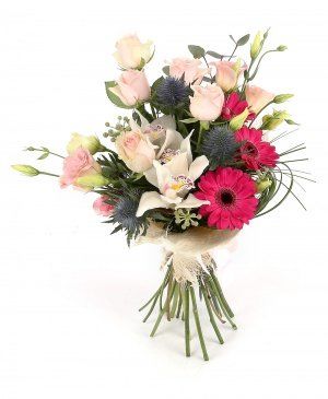 Imaginea produsului Liniştea Culorilor Imaginea produsului Liniştea Culorilor