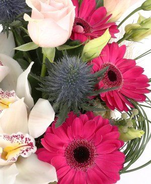 Imaginea produsului Liniştea Culorilor