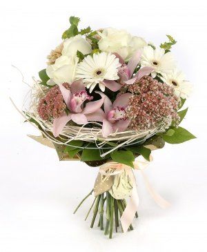 Imaginea produsului Visuri împlinite Imaginea produsului Visuri împlinite