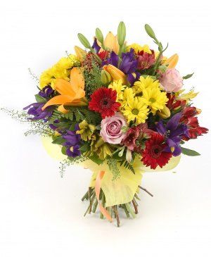 Imaginea produsului început De Toamnă Imaginea produsului început De Toamnă