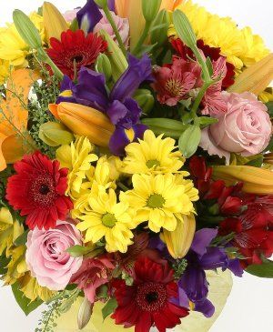 Imaginea produsului început De Toamnă