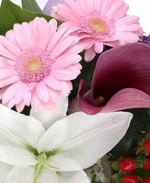 Imaginea produsului Fundițe Colorate