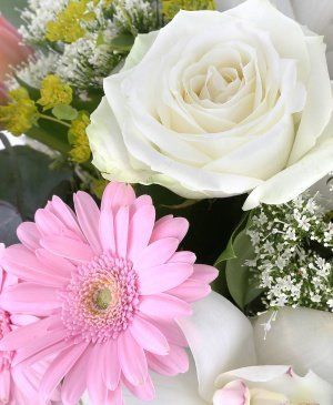 Imaginea produsului Parfum Delicat