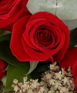 Imaginea produsului 7 Trandafiri Roșii Ornați