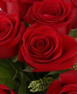 Imaginea produsului 9 Trandafiri Roșii Ornați Subtil