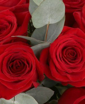 Imaginea produsului 11 Trandafiri