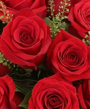 Imaginea produsului 23 Trandafiri Roșii