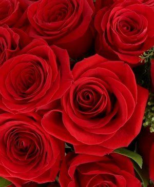 Imaginea produsului 25 Trandafiri Minunați Roșii