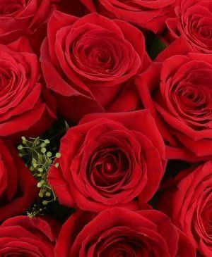 Imaginea produsului 33 Trandafiri Roșii