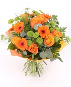 Imaginea produsului Exaltare Cromatică