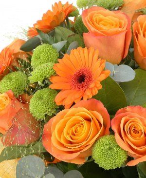 Imaginea produsului Exaltare Cromatică