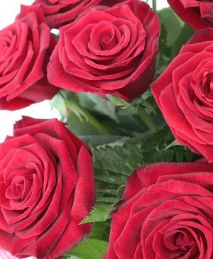 Imaginea produsului 21 Trandafiri Roșii