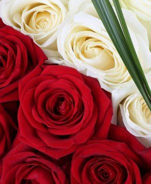 Imaginea produsului Centrul Atenției