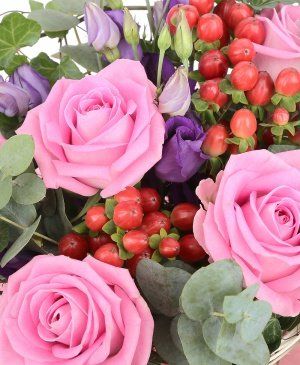 Imaginea produsului Drăgălășie Roz