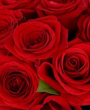 Imaginea produsului 35 Trandafiri Roșii