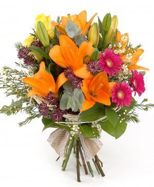 Imaginea produsului Prietenie Colorată