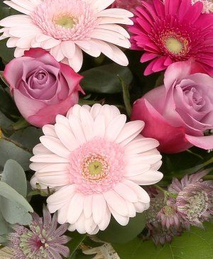 Imaginea produsului Atingere Delicată