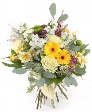 Imaginea produsului Zâmbet Recunoscător Imaginea produsului Zâmbet Recunoscător