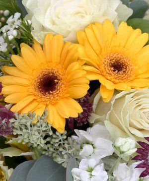 Imaginea produsului Zâmbet Recunoscător