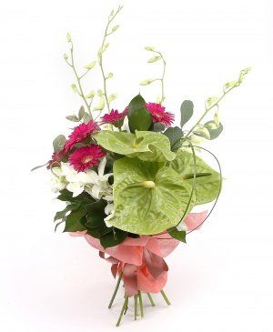 Imaginea produsului Frumusețe Fragedă Imaginea produsului Frumusețe Fragedă