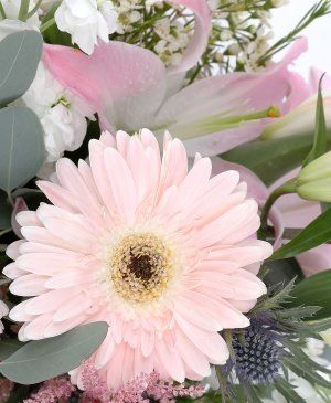 Imaginea produsului Liniște Luminoasă