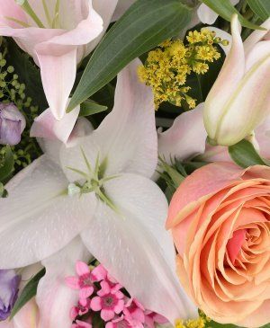 Imaginea produsului Fericire Deplină