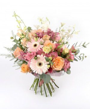 Imaginea produsului Speranțe Nemuritoare Imaginea produsului Speranțe Nemuritoare