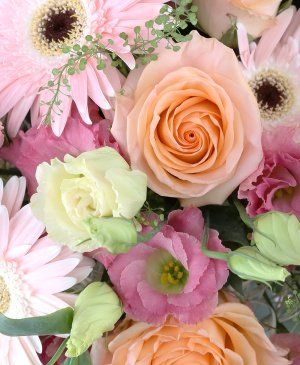 Imaginea produsului Speranțe Nemuritoare