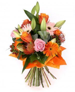 Imaginea produsului Frumusețe Neasemănată Imaginea produsului Frumusețe Neasemănată