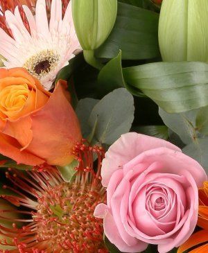 Imaginea produsului Frumusețe Neasemănată