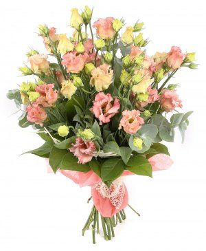 Imaginea produsului Freamătul Florilor Imaginea produsului Freamătul Florilor